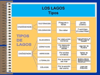 LOS LAGOS
Tipos
 