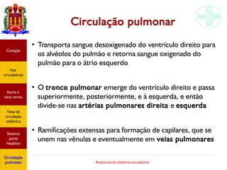 Anatomia do sistema circulatório
Circulação pulmonar
●
Transporta sangue desoxigenado do ventrículo direito para
os alvéolos do pulmão e retorna sangue oxigenado do
pulmão para o átrio esquerdo
●
O tronco pulmonar emerge do ventrículo direito e passa
superiormente, posteriormente, e à esquerda, e então
divide-se nas artérias pulmonares direita e esquerda
●
Ramificações extensas para formação de capilares, que se
unem nas vênulas e eventualmente em veias pulmonares
Coração
Vias
circulatórias
Aorta e
seus ramos
Veias da
circulação
sistêmica
Sistema
porta
hepática
Circulação
pulmonar
 