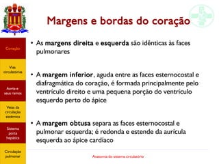 Anatomia do sistema circulatório
Margens e bordas do coração
● As margens direita e esquerda são idênticas às faces
pulmonares
● A margem inferior, aguda entre as faces esternocostal e
diafragmática do coração, é formada principalmente pelo
ventrículo direito e uma pequena porção do ventrículo
esquerdo perto do ápice
● A margem obtusa separa as faces esternocostal e
pulmonar esquerda; é redonda e estende da aurícula
esquerda ao ápice cardíaco
Coração
Vias
circulatórias
Aorta e
seus ramos
Veias da
circulação
sistêmica
Sistema
porta
hepática
Circulação
pulmonar
 