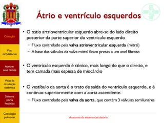 Anatomia do sistema circulatório
Átrio e ventrículo esquerdos
●
O ostio artrioventricular esquerdo abre-se do lado direito
posterior da parte superior do ventrículo esquerdo
– Fluxo controlado pela valva atrioventricular esquerda (mitral)
– A base das válvulas da valva mitral ficam presas a um anel fibroso
●
O ventrículo esquerdo é cônico, mais longo do que o direito, e
tem camada mais espessa de miocárdio
●
O vestíbulo da aorta é o trato de saída do ventrículo esquerdo, e é
contínuo superiormente com a aorta ascendente.
– Fluxo controlado pela valva da aorta, que contém 3 válvulas semilunares
Coração
Vias
circulatórias
Aorta e
seus ramos
Veias da
circulação
sistêmica
Sistema
porta
hepática
Circulação
pulmonar
 