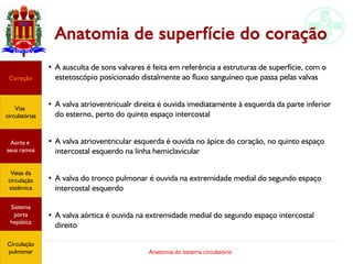 Anatomia do sistema circulatório
Anatomia de superfície do coração
●
A ausculta de sons valvares é feita em referência a estruturas de superfície, com o
estetoscópio posicionado distalmente ao fluxo sanguíneo que passa pelas valvas
●
A valva atrioventricualr direita é ouvida imediatamente à esquerda da parte inferior
do esterno, perto do quinto espaço intercostal
●
A valva atrioventricular esquerda é ouvida no ápice do coração, no quinto espaço
intercostal esquerdo na linha hemiclavicular
●
A valva do tronco pulmonar é ouvida na extremidade medial do segundo espaço
intercostal esquerdo
●
A valva aórtica é ouvida na extremidade medial do segundo espaço intercostal
direito
Coração
Vias
circulatórias
Aorta e
seus ramos
Veias da
circulação
sistêmica
Sistema
porta
hepática
Circulação
pulmonar
 