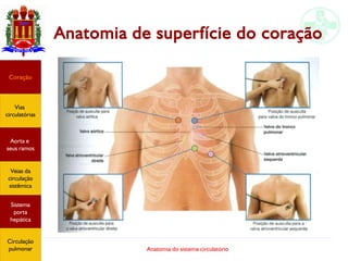 Anatomia do sistema circulatório
Anatomia de superfície do coração
Coração
Vias
circulatórias
Aorta e
seus ramos
Veias da
circulação
sistêmica
Sistema
porta
hepática
Circulação
pulmonar
 