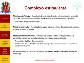 Anatomia do sistema circulatório
Complexo estimulante
●
Nó sinoatrial/sinusal – Localizado ântero-lateralmente, sob o epicárdio, na junção
da VCS e do átrio direito, próximo da extremidade superior do sulco terminal
– Marcapasso nomotópico do coração
●
Nó atrioventricular – Localizado na região póstero-inferior do septoatrial, próximo
ao óstio do seio coronário
●
Fascículo atrioventricular – Única ponte entre o sincício fisiológico atrial e o
ventricular; redistribui o sinal produzido nos nós para os ventrículos
– Tronco (feixe de His) – Segmento inicial
– Divide-se em ramos direito e esquerdo na junção das partes membranáce e muscular do
septo interventricular
●
Ao final do septo, o fascículo ramifica-se nos ramos subendocárdicos (fibras de
Purkinje)
Coração
Vias
circulatórias
Aorta e
seus ramos
Veias da
circulação
sistêmica
Sistema
porta
hepática
Circulação
pulmonar
 