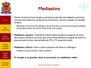 Anatomia do sistema circulatório
Mediastino
●
Tecido conectivo frouxo da pleura parietal de cada lado do mediastino permitem
que esse acomode-se às mudanças de movimento, volume e pressão na cavidade
torácica
– Respiração (movimentos do diafragma, da parde torácica e da árvore bronquial), pulsações
das grandes artérias, movimento dos pulmões e do coração
●
Mediastino superior: Estende-se inferiormente da abertura superior do tórax
até o plano transverso do tórax (que inclui horizontalmente o ângulo do esterno e
passa através do disco intervertebral de TIV e TV posteriormente)
●
Mediastino inferior: Entre o plano transverso do tórax e o diafragma
– Dividido em partes anterior média e posterior
●
O coração e os grandes vasos se encontram no mediastino médio
Coração
Vias
circulatórias
Aorta e
seus ramos
Veias da
circulação
sistêmica
Sistema
porta
hepática
Circulação
pulmonar
 