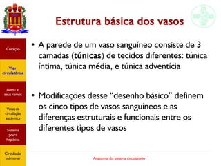 Anatomia do sistema circulatório
Estrutura básica dos vasos
● A parede de um vaso sanguíneo consiste de 3
camadas (túnicas) de tecidos diferentes: túnica
íntima, túnica média, e túnica adventícia
●
Modificações desse “desenho básico” definem
os cinco tipos de vasos sanguíneos e as
diferenças estruturais e funcionais entre os
diferentes tipos de vasos
Coração
Vias
circulatórias
Aorta e
seus ramos
Veias da
circulação
sistêmica
Sistema
porta
hepática
Circulação
pulmonar
 