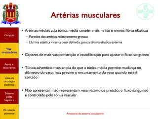 Anatomia do sistema circulatório
Artérias musculares
●
Artérias médias cuja túnica média contém mais m liso e menos fibras elásticas
– Paredes das artérias relativamente grossas
– Lâmina elástica interna bem definida, pouca lâmina elástica externa
●
Capazes de mais vasoconstrição e vasodilatação para ajustar o fluxo sanguíneo
●
Túnica adventícia mais ampla do que a túnica média permite mudança no
diâmetro do vaso, mas previne o encurtamento do vaso quando este é
cortado
●
Não apresentam não representam reservatório de pressão; o fluxo sanguíneo
é controlado pelo tônus vascular
Coração
Vias
circulatórias
Aorta e
seus ramos
Veias da
circulação
sistêmica
Sistema
porta
hepática
Circulação
pulmonar
 