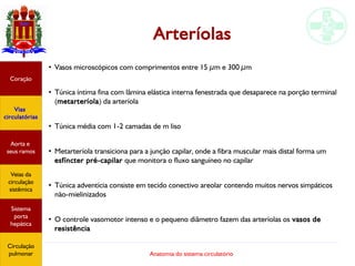 Anatomia do sistema circulatório
Arteríolas
●
Vasos microscópicos com comprimentos entre 15 µm e 300 µm
●
Túnica íntima fina com lâmina elástica interna fenestrada que desaparece na porção terminal
(metarteríola) da arteríola
●
Túnica média com 1-2 camadas de m liso
●
Metarteríola transiciona para a junção capilar, onde a fibra muscular mais distal forma um
esfíncter pré-capilar que monitora o fluxo sanguíneo no capilar
●
Túnica adventícia consiste em tecido conectivo areolar contendo muitos nervos simpáticos
não-mielinizados
●
O controle vasomotor intenso e o pequeno diâmetro fazem das arteríolas os vasos de
resistência
Coração
Vias
circulatórias
Aorta e
seus ramos
Veias da
circulação
sistêmica
Sistema
porta
hepática
Circulação
pulmonar
 
