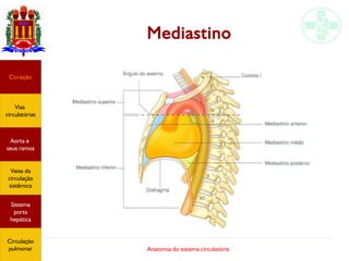 Anatomia do sistema circulatório
Mediastino
Coração
Vias
circulatórias
Aorta e
seus ramos
Veias da
circulação
sistêmica
Sistema
porta
hepática
Circulação
pulmonar
 
