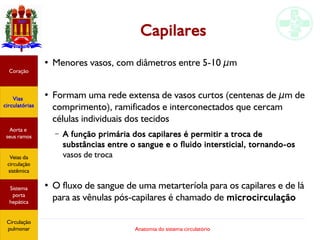 Anatomia do sistema circulatório
Capilares
●
Menores vasos, com diâmetros entre 5-10 µm
●
Formam uma rede extensa de vasos curtos (centenas de µm de
comprimento), ramificados e interconectados que cercam
células individuais dos tecidos
– A função primária dos capilares é permitir a troca de
substâncias entre o sangue e o fluido intersticial, tornando-os
vasos de troca
●
O fluxo de sangue de uma metarteríola para os capilares e de lá
para as vênulas pós-capilares é chamado de microcirculação
Coração
Vias
circulatórias
Aorta e
seus ramos
Veias da
circulação
sistêmica
Sistema
porta
hepática
Circulação
pulmonar
 