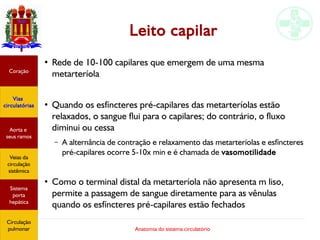 Anatomia do sistema circulatório
Leito capilar
●
Rede de 10-100 capilares que emergem de uma mesma
metarteríola
●
Quando os esfíncteres pré-capilares das metarteríolas estão
relaxados, o sangue flui para o capilares; do contrário, o fluxo
diminui ou cessa
– A alternância de contração e relaxamento das metarteríolas e esfíncteres
pré-capilares ocorre 5-10x min e é chamada de vasomotilidade
●
Como o terminal distal da metarteríola não apresenta m liso,
permite a passagem de sangue diretamente para as vênulas
quando os esfíncteres pré-capilares estão fechados
Coração
Vias
circulatórias
Aorta e
seus ramos
Veias da
circulação
sistêmica
Sistema
porta
hepática
Circulação
pulmonar
 