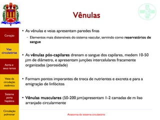 Anatomia do sistema circulatório
Vênulas
●
As vênulas e veias apresentam paredes finas
– Elementos mais distensíveis do sistema vascular, servindo como reservatórios de
sangue
●
As vênulas pós-capilares drenam o sangue dos capilares, medem 10-50
µm de diâmetro, e apresentam junções intercelulares fracamente
organizadas (porosidade)
●
Formam pontos imporantes de troca de nutrientes e excreta e para a
emigração de linfócitos
●
Vênulas musculares (50-200 µm)apresentam 1-2 camadas de m liso
arranjado circularmente
Coração
Vias
circulatórias
Aorta e
seus ramos
Veias da
circulação
sistêmica
Sistema
porta
hepática
Circulação
pulmonar
 