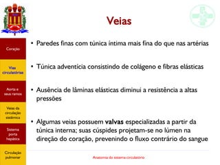 Anatomia do sistema circulatório
Veias
● Paredes finas com túnica íntima mais fína do que nas artérias
● Túnica adventícia consistindo de colágeno e fibras elásticas
● Ausência de lâminas elásticas diminui a resistência a altas
pressões
● Algumas veias possuem valvas especializadas a partir da
túnica interna; suas cúspides projetam-se no lúmen na
direção do coração, prevenindo o fluxo contrário do sangue
Coração
Vias
circulatórias
Aorta e
seus ramos
Veias da
circulação
sistêmica
Sistema
porta
hepática
Circulação
pulmonar
 