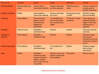 Anatomia do sistema circulatório
Característica dos vasos
Tipo de vaso Tamanho Íntima Média Adventícia Função
Artérias elásticas Maiores artérias do
corpo
Lâmina elástica
interna bem definida
Grossa e dominada
por fibras elásticas
Mais fina do que a
média
Conduzir sangue do
coração para as
artérias musculares
Artérias musculares Médias Lâmina elástica
interna bem definida
Grossa e dominada
por m liso
Mais grossa do que
a média
Distribuir sangue
para as arteríolas
Arteríolas Microscópicas Fina com lâmina
elástica interna
fenestrada que
desaparece
distalmente
1-2 camadas de m
liso; cél mais distal
forma esfíncter pré-
capilar
TC frouxo e nervos
simpáticos
Levar sangue aos
capilares e ajudar a
regular o fluxo das
artérias para os
capilares
Capilares Menores vasos Endotélio e
membrana basal
Ausente Ausente Troca de nutrientes
e excreta
Vênulas pós-
capilares
Microscópicas Endotélio e
membrana basal
Ausente Esparsa Distribuir sangue
para vênulas
musculares troca de
nutrientes e excreta;
imune
Vênulas musculares Microscópicas Endotélio e
membrana basal
1-2 camadas de m
liso
Esparsa Distribuir sangue
para as veias;
reservatório
Veias Médias Endotélio e
membrana basal;
ausência de lâmina
elástica; válvulas;
lumen maior do que
nas artérias
Mais fina do que nas
artérias; ausência de
lâmina elástica
Mais grossa Retorno venoso
 