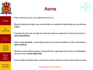Anatomia do sistema circulatório
Aorta
●
Maior artéria do corpo, com diâmetro de 2-3 cm
●
Quatro divisões principais, que se subdividem em artérias de distribuição para os diversos
órgãos
●
A porção da aorta que emerge do ventrículo posterior esquerdo ao tronco pulmonar é a
aorta ascendente
●
Após o arco da aorta, a aorta desce próxima aos corpos vertebrais, onde é chamada de
aorta torácica
●
Quando a aorta torácica alcança o fundo do tórax, passa pelo hiato aórtico do diafragama
para se tornar a aorta abdominal
●
A aorta abdominal desce até o nível de LIV, onde se divide em duas artérias ilíacas comuns
Coração
Vias
circulatórias
Aorta e
seus ramos
Veias da
circulação
sistêmica
Sistema
porta
hepática
Circulação
pulmonar
 