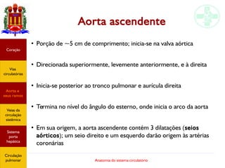 Anatomia do sistema circulatório
Aorta ascendente
●
Porção de ~5 cm de comprimento; inicia-se na valva aórtica
●
Direcionada superiormente, levemente anteriormente, e à direita
●
Inicia-se posterior ao tronco pulmonar e aurícula direita
●
Termina no nível do ângulo do esterno, onde inicia o arco da aorta
●
Em sua origem, a aorta ascendente contém 3 dilatações (seios
aórticos); um seio direito e um esquerdo darão origem às artérias
coronárias
Coração
Vias
circulatórias
Aorta e
seus ramos
Veias da
circulação
sistêmica
Sistema
porta
hepática
Circulação
pulmonar
 
