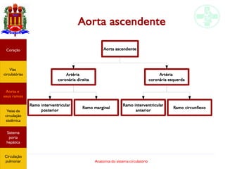 Anatomia do sistema circulatório
Aorta ascendente
Coração
Vias
circulatórias
Aorta e
seus ramos
Veias da
circulação
sistêmica
Sistema
porta
hepática
Circulação
pulmonar
Aorta ascendente
Artéria
coronária esquerda
Artéria
coronária direita
Ramo interventricular
posterior
Ramo marginal
Ramo interventricular
anterior
Ramo circunflexo
 