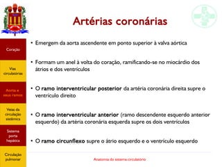 Anatomia do sistema circulatório
Artérias coronárias
●
Emergem da aorta ascendente em ponto superior à valva aórtica
●
Formam um anel à volta do coração, ramificando-se no miocárdio dos
átrios e dos ventrículos
●
O ramo interventricular posterior da artéria coronária direita supre o
ventrículo direito
●
O ramo interventricular anterior (ramo descendente esquerdo anterior
esquerdo) da artéria coronária esquerda supre os dois ventrículos
●
O ramo circunflexo supre o átrio esquerdo e o ventrículo esquerdo
Coração
Vias
circulatórias
Aorta e
seus ramos
Veias da
circulação
sistêmica
Sistema
porta
hepática
Circulação
pulmonar
 