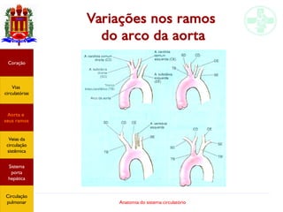 Anatomia do sistema circulatório
Variações nos ramos
do arco da aorta
Coração
Vias
circulatórias
Aorta e
seus ramos
Veias da
circulação
sistêmica
Sistema
porta
hepática
Circulação
pulmonar
 