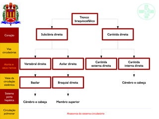 Anatomia do sistema circulatório
Coração
Vias
circulatórias
Aorta e
seus ramos
Veias da
circulação
sistêmica
Sistema
porta
hepática
Circulação
pulmonar
Tronco
braquiocefálico
Carótida direitaSubclávia direita
Vertebral direita Axilar direita
Carótida
externa direita
Carótida
interna direita
Basilar Braquial direita
Membro superiorCérebro e cabeça
Cérebro e cabeça
 
