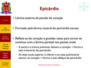 Anatomia do sistema circulatório
Epicárdio
●
Lâmina externa da parede do coração
●
Formado pela lâmina visceral do pericárdio seroso
●
Reflete-se do coração e grandes vasos para tornar-se
contínuo com a lâmina parietal nos pontos onde
– A aorta e o tronco pulmonar deixam o coração forma o→
seio transverso do pericárdio
– As veias cavas superior e inferior e as veias pulmonares
entram no coração forma o seio oblíquo do pericárdio→
Coração
Vias
circulatórias
Aorta e
seus ramos
Veias da
circulação
sistêmica
Sistema
porta
hepática
Circulação
pulmonar
 