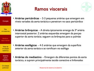 Anatomia do sistema circulatório
Ramos viscerais
●
Artérias pericárdicas – 2-3 pequenas artérias que emergem em
níveis variados da aorta torácica e penetram no saco pericárdico
●
Artérias brônquicas – A direita tpicamente emerge da 3ª artéria
intercostal posterior; 2 artérias esquerdas emergem da porçao
superior da aorta torácia; seguem os brônquios para o pulmão
●
Artérias esofágicas – 4-5 artérias que emergem da superfície
anterior da aorta torácia e se ramificam no esôfago
●
Artérias do mediastino – Emergem de diferentes pontos da aorta
torácica, e suprem principalmente tecido conectivo e linfonodos
Coração
Vias
circulatórias
Aorta e
seus ramos
Veias da
circulação
sistêmica
Sistema
porta
hepática
Circulação
pulmonar
 