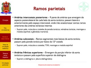 Anatomia do sistema circulatório
Ramos parietais
●
Artérias intercostais posteriores – 9 pares de artérias que emergem do
aspecto posterolateral de cada lado da aorta torácica; passam lateral e
anteriormente pelo espaço intercostal, onde irão anastomosar comos ramos
anteriores das artérias torácicas internas
– Suprem pele, músculos e costelas da parede torácica; vértebras torácias, meninges e
medula espinhal; e glândulas mamárias
●
Artérias subcostais – Ramos segmentais mais baixos da aorta torácia;
passam pela parede torácia por baixo da 12ª costela
– Suprem pele, músculos e costelas; TXII, meninges e medula espinhal
●
Artérias frênicas superiores – Emergem da porção inferior da aorta
torácica e passam pela superfície superior do diafragma
– Suprem o diafragma e pleura diafragmática
Coração
Vias
circulatórias
Aorta e
seus ramos
Veias da
circulação
sistêmica
Sistema
porta
hepática
Circulação
pulmonar
 