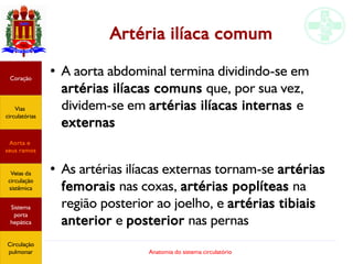 Anatomia do sistema circulatório
Artéria ilíaca comum
● A aorta abdominal termina dividindo-se em
artérias ilíacas comuns que, por sua vez,
dividem-se em artérias ilíacas internas e
externas
●
As artérias ilíacas externas tornam-se artérias
femorais nas coxas, artérias poplíteas na
região posterior ao joelho, e artérias tibiais
anterior e posterior nas pernas
Coração
Vias
circulatórias
Aorta e
seus ramos
Veias da
circulação
sistêmica
Sistema
porta
hepática
Circulação
pulmonar
 