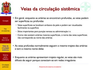 Anatomia do sistema circulatório
Veias da circulação sistêmica
●
Em geral, enquanto as artérias se encontram profundas, as veias podem
ser superficias ou profundas
– Veias superficiais se localizam embaixo da pele e podem ser visualizadas
facilmente na superfície
– Sítios importantes para punção venosa ou administração i.v.
– Como não existem artérias maiores superficiais, o nome das veias superficiais
não corresponde ao nome das artérias
●
As veias profundas normalmente seguem o mesmo trajeto das artérias
e tem o mesmo nome delas
●
Enquanto as artérias apresentam trajeto regular, as veias são mais
difíceis de seguir porque conectam-se em redes irregulares
Coração
Vias
circulatórias
Aorta e
seus ramos
Veias da
circulação
sistêmica
Sistema
porta
hepática
Circulação
pulmonar
 