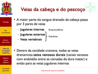 Anatomia do sistema circulatório
Veias da cabeça e do pescoço
●
A maior parte do sangue drenado da cabeça passa
por 3 pares de veias
– Jugulares internas
– Jugulares externas
– Veias vertebrais
●
Dentro da cavidade craniana, todas as veias
drenamnos seios venosos durais (canais venosos
com endotélio entre as camadas da dura mater) e
então para as veias jugulares internas
Coração
Vias
circulatórias
Aorta e
seus ramos
Veias da
circulação
sistêmica
Sistema
porta
hepática
Circulação
pulmonar
Subclávias
Braquiocefálicas
 