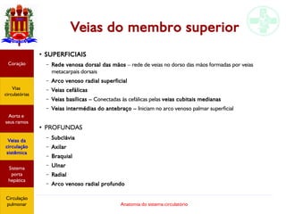 Anatomia do sistema circulatório
Veias do membro superior
●
SUPERFICIAIS
– Rede venosa dorsal das mãos – rede de veias no dorso das mãos formadas por veias
metacarpais dorsais
– Arco venoso radial superficial
– Veias cefálicas
– Veias basílicas – Conectadas às cefálicas pelas veias cubitais medianas
– Veias intermédias do antebraço – Iniciam no arco venoso palmar superficial
●
PROFUNDAS
– Subclávia
– Axilar
– Braquial
– Ulnar
– Radial
– Arco venoso radial profundo
Coração
Vias
circulatórias
Aorta e
seus ramos
Veias da
circulação
sistêmica
Sistema
porta
hepática
Circulação
pulmonar
 