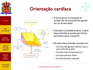 Anatomia do sistema circulatório
Orientação cardíaca
Coração
Vias
circulatórias
Aorta e
seus ramos
Veias da
circulação
sistêmica
Sistema
porta
hepática
Circulação
pulmonar
●
A forma geral e a orientação do
coração são de uma pirâmide apoiada
em um de seus lados.
●
Colocado na cavidade torácica, o ápice
dessa pirâmide se projeta para frente,
para baixo e para a esquerda
●
Os lados dessa pirâmide consistem em
– Uma face diafragmática (inferior) sobre o
qual a pirâmide se apóia
– Uma face esternocostal (anterior)
– Uma face pulmonar direita
– Uma face pulmonar esquerda
 