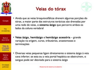 Anatomia do sistema circulatório
Veias do tórax
●
Ainda que as veias braquiocefálicas drenem algumas porções do
tórax, a maior parte das estruturas torácicas são drenadas por
uma rede de veias, o sistema ázigo que percorre ambos os
lados da coluna vertebral
●
Veias ázigo, hemiázigo e hemiázigo acessória – grande
variação na origem, curso, tributários, anastomoses e
terminações
●
Diversas veias pequenas ligam diretamente o sistema ázigo à veia
cava inferior; se esta ou a veia portal hepática se obstruírem, o
sangue pode ser desviado para o sistema ázigo
Coração
Vias
circulatórias
Aorta e
seus ramos
Veias da
circulação
sistêmica
Sistema
porta
hepática
Circulação
pulmonar
 