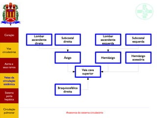 Anatomia do sistema circulatório
Coração
Vias
circulatórias
Aorta e
seus ramos
Veias da
circulação
sistêmica
Sistema
porta
hepática
Circulação
pulmonar
Veia cava
superior
Ázigo Hemiázigo
Hemiázigo
acessória
Subcostal
direita
Lombar
ascendente
esquerda
Subcostal
esquerda
Lombar
ascendente
direita
Braquiocefálica
direita
 