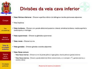 Anatomia do sistema circulatório
Divisões da veia cava inferior
●
Veias frênicas inferiores – Drenam superfície inferior do diafragma e tecidos peritoneais adjacentes
● Veias hepáticas
●
Veias lombares – Drenam mm parede abdominal posterior e lateral, vértebras lombares, medula espinhal e
cauda equina, e meninges
● Veias suprarrenais – Drenam as glândulas suprarrenais
● Veias renais – Drenam os rins
●
Veias gonadais – Drenam gônadas e tecidos adjacentes
● Veias ilíacas comuns
– Veias ilíacas internas – Drenam os mm da parede pélvica e região glútea, vísceras pélvicas e genitais externos
–
Veias ilíacas externas – Drenam a parede abdominal inferior anteriormente, o m cremaster (♂), genitais externos, e
membro inferior
Coração
Vias
circulatórias
Aorta e
seus ramos
Veias da
circulação
sistêmica
Sistema
porta
hepática
Circulação
pulmonar
 