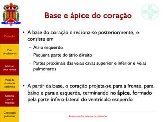 Anatomia do sistema circulatório
Base e ápice do coração
●
A base do coração direciona-se posteriormente, e
consiste em
– Átrio esquerdo
– Pequena parte do átrio direito
– Partes proximais das veias cavas superior e inferior e veias
pulmonares
●
A partir da base, o coração projeta-se para a frente, para
baixo e para a esquerda, terminando no ápice, formado
pela parte ínfero-lateral do ventrículo esquerdo
Coração
Vias
circulatórias
Aorta e
seus ramos
Veias da
circulação
sistêmica
Sistema
porta
hepática
Circulação
pulmonar
 