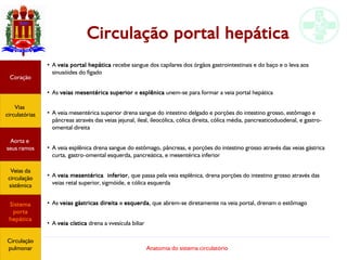 Anatomia do sistema circulatório
Circulação portal hepática
●
A veia portal hepática recebe sangue dos capilares dos órgãos gastrointestinais e do baço e o leva aos
sinusóides do fígado
●
As veias mesentérica superior e esplênica unem-se para formar a veia portal hepática
●
A veia mesentérica superior drena sangue do intestino delgado e porções do intestino grosso, estômago e
pâncreas através das veias jejunal, ileal, ileocólica, cólica direita, cólica média, pancreaticoduodenal, e gastro-
omental direita
●
A veia esplênica drena sangue do estômago, pâncreas, e porções do intestino grosso através das veias gástrica
curta, gastro-omental esquerda, pancreática, e mesentérica inferior
●
A veia mesentérica inferior, que passa pela veia esplênica, drena porções do intestino grosso através das
veias retal superior, sigmóide, e cólica esquerda
●
As veias gástricas direita e esquerda, que abrem-se diretamente na veia portal, drenam o estômago
●
A veia cística drena a vvesícula biliar
Coração
Vias
circulatórias
Aorta e
seus ramos
Veias da
circulação
sistêmica
Sistema
porta
hepática
Circulação
pulmonar
 
