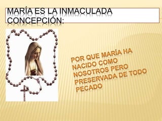 MARÍA ES LA INMACULADA
CONCEPCIÓN: