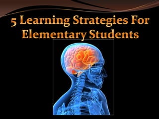 5 Learning Strategies For Elementary Students 
