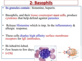 5 Leukopoiesis (1).pdf