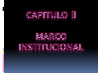 CAPITULO  ll  MARCO INSTITUCIONAL 