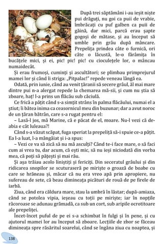 138
După trei săptămâni i-au ieșit niște
pui drăguți, nu goi ca puii de vrabie,
îmbrăcați cu puf galben ca puii de
găină, dar mici, parcă erau șapte
gogoși de mătase, și au început să
umble prin grâu după mâncare.
Prepelița prindea câte o furnică, ori
câte o lăcustă, le-o fărâmița în
bucățele mici, și ei, pic! pic! pic! cu cioculețele lor, o mâncau
numaidecât.
Și erau frumoși, cuminți și ascultători; se plimbau primprejurul
mamei lor și când îi striga: „Pitpalac!” repede veneau lângă ea.
Odată, prin iunie, când au venit țăranii să secere grâul, ăl mai mare
dintre pui n-a alergat repede la chemarea mă-sii, și cum nu știa să
zboare, haț! l-a prins un flăcău sub căciulă.
Ce frică a pățit când s-a simțit strâns în palma flăcăului, numai el a
știut; îi bătea inima ca ceasornicul meu din buzunar; dar a avut noroc
de un țăran bătrân, care s-a rugat pentru el:
– Lasă-l jos, mă Marine, că e păcat de el, moare. Nu-l vezi că de-
abia e cât luleaua?!
Când s-a văzut scăpat, fuga speriat la prepeliță să-i spuie ce-a pățit.
Ea l-a luat, l-a mângâiat și i-a spus:
– Vezi ce va să zică să nu mă asculți? Când te-i face mare, o să faci
cum ai vrea tu, dar acum, că ești mic, să nu ieși niciodată din vorba
mea, că poți să pățești și mai rău.
Și așa trăiau acolo liniștiți și fericiți. Din seceratul grâului și din
ridicarea snopilor se scuturaseră pe miriște o groază de boabe cu
care se hrăneau și, măcar că nu era vreo apă prin apropiere, nu
sufereau de sete, că beau dimineața picături de rouă de pe firele de
iarbă.
Ziua, când era căldura mare, stau la umbră în lăstar; după-amiaza,
când se potolea vipia, ieșeau cu toții pe miriște; iar în nopțile
răcoroase se adunau grămadă, ca sub un cort, sub aripile ocrotitoare
ale prepeliței.
Încet-încet puful de pe ei s-a schimbat în fulgi și în pene, și cu
ajutorul mamei lor au început să zboare. Lecțiile de zbor se făceau
dimineața spre răsăritul soarelui, când se îngâna ziua cu noaptea, și
Право для безоплатного розміщення підручника в мережі Інтернет має
Міністерство освіти і науки України http://mon.gov.ua/ та Інститут модернізації змісту освіти https://imzo.gov.ua
 