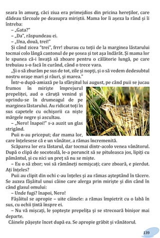 139
seara în amurg, căci ziua era primejdios din pricina hereților, care
dădeau târcoale pe deasupra miriștii. Mama lor îi așeza la rând și îi
întreba:
– „Gata?”
– „Da”, răspundeau ei.
– „Una, două, trei!”
Și când zicea “trei”, frrr! zburau cu toții de la marginea lăstarului
tocmai colo lângă cantonul de pe șosea și tot așa îndărăt. Și mama lor
le spunea că-i învață să zboare pentru o călătorie lungă, pe care
trebuiau s-o facă în curând, când o trece vara.
„Și o să zburăm pe sus de tot, zile și nopți, și o să vedem dedesubtul
nostru orașe mari și râuri, și marea.”
Într-o după-amiază pe la sfârșitul lui august, pe când puii se jucau
frumos în miriște împrejurul
prepeliței, aud o căruță venind și
oprindu-se în drumeagul de pe
marginea lăstarului. Au ridicat toți în
sus capetele cu ochișorii ca niște
mărgele negre și ascultau.
– „Nero! înapoi!” s-a auzit un glas
strigând.
Puii n-au priceput; dar mama lor,
care înțelesese că e un vânător, a rămas încremenită.
Scăparea lor era lăstarul, dar tocmai dintr-acolo venea vânătorul.
După o clipă de socoteală, le-a poruncit să se pituleasca jos, lipiți cu
pământul, și cu nici un preț să nu se miște.
– Eu o să zbor; voi să rămâneți nemișcați; care zboară, e pierdut.
Ați înțeles?
Puii au clipit din ochi c-au înțeles și au rămas așteptând în tăcere.
Se auzea fâșâitul unui câine care alerga prin miriște și din când în
când glasul omului:
– Unde fugi? înapoi, Nero!
Fâșâitul se apropie – uite câinele: a rămas împietrit cu o labă în
sus, cu ochii țintă înspre ei.
– Nu vă mișcați, le șoptește prepelița și se strecoară binișor mai
departe.
Câinele pășește încet după ea. Se apropie grăbit și vânătorul.
Право для безоплатного розміщення підручника в мережі Інтернет має
Міністерство освіти і науки України http://mon.gov.ua/ та Інститут модернізації змісту освіти https://imzo.gov.ua
 