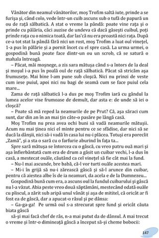 147
Vânător din neamul vânătorilor, moş Trofim saltă iute, prinde a se
furişa şi, când colo, vede într-un cuib ascuns sub o tufă de papură un
ou de raţă sălbatică. A stat o vreme la pândă: poate vine raţa şi o
prinde cu pălăria, căci auzise de undeva că dacă găseşti cuibul, poţi
prinde raţa cu o nimica toată, dar las’că nu era proastă nici raţa. După
ce-a tot stat la pândă fără nici un rost, moş Trofim a luat oul vineţel,
1-a pus în pălărie şi a pornit încet cu el spre casă. La urma urmei, o
gospodină bună poate face dintr-un ou un scrob, că se satură o
mahala întreagă.
– Păcat, măi moşnege, a zis sara mătuşa când s-a întors de la deal
şi moşul i-a pus în poală oul de raţă sălbatică. Păcat să stricăm aşa
frumuseţe. Mai bine l-am pune sub cloşcă. Nici nu prinzi de veste
cum iese puiul, apoi nici nu bagi de seamă cum se face puiul cela
mare...
Zama de raţă sălbatică l-a dus pe moş Trofim iară cu gândul la
lumea acelor vise frumoase de demult, dar asta e: de unde să iei o
cloşcă?
– Poate să mă reped la neamurile de pe Prut? Că, aşa săraci cum
sunt, dar din an în an mai ţin câte-o pasăre pe lângă casă.
Moş Trofim nu prea avea ochi buni să vadă neamurile mătuşii.
Acum nu mai ţinea nici el minte pentru ce se sfădise, dar nici să se
ducă la dânşii, nici să-i vadă în casa lui nu-i plăcea. Totuşi era poreclit
„Zamă”, şi a sta o sară cu o farfurie aburind în faţa ta...
Spre sară mătuşa se întorcea cu o gâscă, cu vreo patru ouă mari şi
aşa înfierbântată cum era de drum a găsit un cuibar vechi, l-a dus în
casă, a mestecat ouăle, căutând ca cel vineţel să fie cât mai la fund.
– Nu-l mai ascunde, bre babă, că-l vor turti ouăle acestea mari.
– Mi-i în grijă să nu-i zărească gâscă şi să-l arunce din cuibar,
pentru că aiestea albe îs de ia neamuri, da acela e de la Dumnezeu...
Gospodină bună cum era, a ascuns oul la fundul cuibarului şi gâscă
nu l-a văzut. Abia peste vreo două săptămâni, mestecând odată ouăle
cu pliscul, a zărit sub aripă unul vânăt şi aşa de mititel, că oricât ar fi
fost ea de gâscă, dar a apucat-o râsul şi pe dânsa:
– Ga-ga-ga! Pe urmă oul s-a strecurat spre fund şi oricât căuta
biata gâscă
să-şi mai facă chef de râs, n-a mai putut da de dânsul. A mai trecut
o vreme şi într-o dimineaţă gâscă a început să-şi cheme bobocii:
Право для безоплатного розміщення підручника в мережі Інтернет має
Міністерство освіти і науки України http://mon.gov.ua/ та Інститут модернізації змісту освіти https://imzo.gov.ua
 