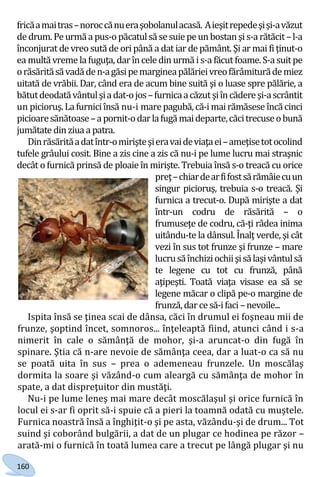 160
fricăamaitras–noroccănueraşobolanulacasă. Aieşitrepedeşişi-avăzut
de drum.Peurmăa pus-opăcatulsă sesuiepeunbostanşis-arătăcit–l-a
înconjurat de vreo sută de ori până a dat iar de pământ. Şi ar mai fiţinut-o
ea multăvremela fuguţa, darîncele din urmă is-a făcut foame.S-a suitpe
orăsărităsăvadăden-agăsipemargineapălărieivreofărâmiturădemiez
uitată de vrăbii. Dar, când era de acum bine suită şi o luase spre pălărie, a
bătutdeodatăvântulşiadat-ojos–furnicaacăzutşiîncădereşi-ascrântit
un picioruş.Lafurniciînsă nu-i marepagubă,că-imairămăsese încăcinci
picioaresănătoase–apornit-odarlafugămaideparte,căcitrecuseobună
jumătate dinziua a patra.
Dinrăsărităadatîntr-omirişteşieravaideviaţaei–ameţisetotocolind
tufele grâului cosit. Bine a zis cine a zis că nu-i pe lume lucru mai straşnic
decât o furnică prinsă de ploaie în mirişte. Trebuia însă s-o treacă cu orice
preţ–chiardearfifostsărămâiecuun
singur picioruş, trebuia s-o treacă. Şi
furnica a trecut-o. După mirişte a dat
într-un codru de răsărită – o
frumuseţe de codru, că-ţi râdea inima
uitându-te la dânsul. Înalţ verde, şi cât
vezi în sus tot frunze şi frunze – mare
lucrusăînchiziochiişisălaşivântulsă
te legene cu tot cu frunză, până
aţipeşti. Toată viaţa visase ea să se
legene măcar o clipă pe-o margine de
frunză,darce să-ifaci –nevoile...
Ispita însă se ţinea scai de dânsa, căci în drumul ei foşneau mii de
frunze, şoptind încet, somnoros... înţeleaptă fiind, atunci când i s-a
nimerit în cale o sămânţă de mohor, şi-a aruncat-o din fugă în
spinare. Ştia că n-are nevoie de sămânţa ceea, dar a luat-o ca să nu
se poată uita în sus – prea o ademeneau frunzele. Un moscălaş
dormita la soare şi văzând-o cum aleargă cu sămânţa de mohor în
spate, a dat dispreţuitor din mustăţi.
Nu-i pe lume leneş mai mare decât moscălaşul şi orice furnică în
locul ei s-ar fi oprit să-i spuie că a pieri la toamnă odată cu muştele.
Furnica noastră însă a înghiţit-o şi pe asta, văzându-şi de drum... Tot
suind şi coborând bulgării, a dat de un plugar ce hodinea pe răzor –
arată-mi o furnică în toată lumea care a trecut pe lângă plugar şi nu
Право для безоплатного розміщення підручника в мережі Інтернет має
Міністерство освіти і науки України http://mon.gov.ua/ та Інститут модернізації змісту освіти https://imzo.gov.ua
 
