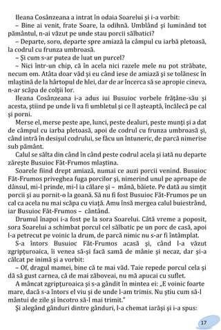 17
Ileana Cosânzeana a intrat în odaia Soarelui şi i-a vorbit:
– Bine ai venit, frate Soare, la odihnă. Umblând şi luminând tot
pământul, n-ai văzut pe unde stau porcii sălbatici?
– Departe, soro, departe spre amiază la câmpul cu iarbă pletoasă,
la codrul cu frunza umbroasă.
– Şi cum s-ar putea de luat un purcel?
– Nici într-un chip, că în acela nici razele mele nu pot străbate,
necum om. Atâta doar văd şi eu când iese de amiază şi se tolănesc în
mlaştină de la hârtopul de hlei, dar de ar încerca să se apropie cineva,
n-ar scăpa de colţii lor.
Ileana Cosânzeana i-a adus iui Busuioc vorbele frăţâne-său şi
acesta, ştiind pe unde îi va fi umbletul şi ce îl aşteaptă, încălecă pe cal
şi porni.
Merse el, merse peste ape, lunci, peste dealuri, peste munţi şi a dat
de câmpul cu iarba pletoasă, apoi de codrul cu frunza umbroasă şi,
când intră în desişul codrului, se făcu un întuneric, de parcă nimerise
sub pământ.
Calul se sălta din când în când peste codrul acela şi iată nu departe
zăreşte Busuioc Făt-Frumos mlaştina.
Soarele fiind drept amiază, numai ce auzi porcii venind. Busuioc
Făt-Frumos priveghea fuga porcilor şi, nimerind unul pe aproape de
dânsul, mi-l prinde, mi-l ia călare şi – mână, băiete. Pe dată au simţit
porcii şi au pornit-o la goană. Să nu fi fost Busuioc Făt-Frumos pe un
cal ca acela nu mai scăpa cu viaţă. Amu însă mergea calul buiestrând,
iar Busuioc Făt-Frumos – cântând.
Drumul înapoi i-a fost pe la sora Soarelui. Câtă vreme a poposit,
sora Soarelui a schimbat porcul cel sălbatic pe un porc de casă, apoi
l-a petrecut pe voinic la drum, de parcă nimic nu s-ar fi întâmplat.
S-a întors Busuioc Făt-Frumos acasă şi, când l-a văzut
zgripţuroaica, îi venea să-şi facă samă de mânie şi necaz, dar şi-a
călcat pe inimă şi a vorbit:
– Of, dragul mamei, bine că te mai văd. Taie repede porcul cela şi
dă să gust carnea, că de mai zăboveai, nu mă apucai cu suflet.
A mâncat zgripţuroaica şi s-a gândit în mintea ei: „E voinic foarte
mare, dacă s-a întors el viu şi de unde l-am trimis. Nu ştiu cum să-l
mântui de zile şi încotro să-l mai trimit.”
Şi alegând gânduri dintre gânduri, l-a chemat iarăşi şi i-a spus:
Право для безоплатного розміщення підручника в мережі Інтернет має
Міністерство освіти і науки України http://mon.gov.ua/ та Інститут модернізації змісту освіти https://imzo.gov.ua
 