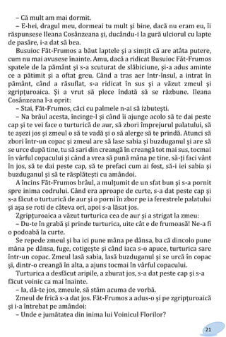 21
– Că mult am mai dormit.
– E-hei, dragul meu, dormeai tu mult şi bine, dacă nu eram eu, îi
răspunsese Ileana Cosânzeana şi, ducându-i la gură ulciorul cu lapte
de pasăre, i-a dat să bea.
Busuioc Făt-Frumos a băut laptele şi a simţit că are atâta putere,
cum nu mai avusese înainte. Amu, dacă a ridicat Busuioc Făt-Frumos
spatele de la pământ şi s-a scuturat de slăbiciune, şi-a adus aminte
ce a pătimit şi a oftat greu. Când a tras aer într-însul, a intrat în
pământ, când a răsuflat, s-a ridicat în sus şi a văzut zmeul şi
zgripţuroaica. Şi a vrut să plece îndată să se răzbune. Ileana
Cosânzeana l-a oprit:
– Stai, Făt-Frumos, căci cu palmele n-ai să izbuteşti.
– Na brâul acesta, încinge-l şi când îi ajunge acolo să te dai peste
cap şi te vei face o turturică de aur, să zbori împrejurul palatului, să
te aşezi jos şi zmeul o să te vadă şi o să alerge să te prindă. Atunci să
zbori într-un copac şi zmeul are să lase sabia şi buzduganul şi are să
se urce după tine, tu să sari din creangă în creangă tot mai sus, tocmai
în vârful copacului şi când a vrea să pună mâna pe tine, să-ţi faci vânt
în jos, să te dai peste cap, să te prefaci cum ai fost, să-i iei sabia şi
buzduganul şi să te răsplăteşti cu amândoi.
A încins Făt-Frumos brâul, a mulţumit de un sfat bun şi s-a pornit
spre inima codrului. Când era aproape de curte, s-a dat peste cap şi
s-a făcut o turturică de aur şi o porni în zbor pe ia ferestrele palatului
şi aşa se roti de câteva ori, apoi s-a lăsat jos.
Zgripţuroaica a văzut turturica cea de aur şi a strigat la zmeu:
– Du-te în grabă şi prinde turturica, uite cât e de frumoasă! Ne-a fi
o podoabă la curte.
Se repede zmeul şi ba ici pune mâna pe dânsa, ba că dincolo pune
mâna pe dânsa, fuge, cotigeşte şi când iaca s-o apuce, turturica sare
într-un copac. Zmeul lasă sabia, lasă buzduganul şi se urcă în copac
şi, dintr-o creangă în alta, a ajuns tocmai în vârful copacului.
Turturica a desfăcut aripile, a zburat jos, s-a dat peste cap şi s-a
făcut voinic ca mai înainte.
– Ia, dă-te jos, zmeule, să stăm acuma de vorbă.
Zmeul de frică s-a dat jos. Făt-Frumos a adus-o şi pe zgripţuroaică
şi i-a întrebat pe amândoi:
– Unde e jumătatea din inima lui Voinicul Florilor?
Право для безоплатного розміщення підручника в мережі Інтернет має
Міністерство освіти і науки України http://mon.gov.ua/ та Інститут модернізації змісту освіти https://imzo.gov.ua
 