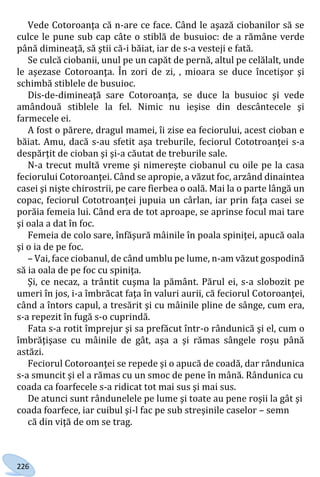 226
Vede Cotoroanţa că n-are ce face. Când le aşază ciobanilor să se
culce le pune sub cap câte o stiblă de busuioc: de a rămâne verde
până dimineaţă, să ştii că-i băiat, iar de s-a vesteji e fată.
Se culcă ciobanii, unul pe un capăt de pernă, altul pe celălalt, unde
le aşezase Cotoroanţa. În zori de zi, , mioara se duce încetişor şi
schimbă stiblele de busuioc.
Dis-de-dimineaţă sare Cotoroanţa, se duce la busuioc şi vede
amândouă stiblele la fel. Nimic nu ieşise din descântecele şi
farmecele ei.
A fost o părere, dragul mamei, îi zise ea feciorului, acest cioban e
băiat. Amu, dacă s-au sfetit aşa treburile, feciorul Cototroanţei s-a
despărţit de cioban şi şi-a căutat de treburile sale.
N-a trecut multă vreme şi nimereşte ciobanul cu oile pe la casa
feciorului Cotoroanţei. Când se apropie, a văzut foc, arzând dinaintea
casei şi nişte chirostrii, pe care fierbea o oală. Mai la o parte lângă un
copac, feciorul Cototroanţei jupuia un cârlan, iar prin faţa casei se
porăia femeia lui. Când era de tot aproape, se aprinse focul mai tare
şi oala a dat în foc.
Femeia de colo sare, înfăşură mâinile în poala spiniţei, apucă oala
şi o ia de pe foc.
– Vai, face ciobanul, de când umblu pe lume, n-am văzut gospodină
să ia oala de pe foc cu spiniţa.
Şi, ce necaz, a trântit cuşma la pământ. Părul ei, s-a slobozit pe
umeri în jos, i-a îmbrăcat faţa în valuri aurii, că feciorul Cotoroanţei,
când a întors capul, a tresărit şi cu mâinile pline de sânge, cum era,
s-a repezit în fugă s-o cuprindă.
Fata s-a rotit împrejur şi sa prefăcut într-o rândunică şi el, cum o
îmbrăţişase cu mâinile de gât, aşa a şi rămas sângele roşu până
astăzi.
Feciorul Cotoroanţei se repede şi o apucă de coadă, dar rândunica
s-a smuncit şi el a rămas cu un smoc de pene în mână. Rândunica cu
coada ca foarfecele s-a ridicat tot mai sus şi mai sus.
De atunci sunt rândunelele pe lume şi toate au pene roşii la gât şi
coada foarfece, iar cuibul şi-l fac pe sub streşinile caselor – semn
că din viţă de om se trag.
Право для безоплатного розміщення підручника в мережі Інтернет має
Міністерство освіти і науки України http://mon.gov.ua/ та Інститут модернізації змісту освіти https://imzo.gov.ua
 