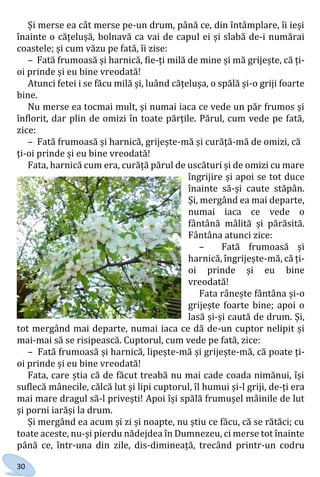 30
Și merse ea cât merse pe-un drum, până ce, din întâmplare, îi ieși
înainte o cățelușă, bolnavă ca vai de capul ei și slabă de-i numărai
coastele; și cum văzu pe fată, îi zise:
– Fată frumoasă și harnică, fie-ți milă de mine și mă grijește, că ți-
oi prinde și eu bine vreodată!
Atunci fetei i se făcu milă și, luând cățelușa, o spălă și-o griji foarte
bine.
Nu merse ea tocmai mult, și numai iaca ce vede un păr frumos și
înflorit, dar plin de omizi în toate părțile. Părul, cum vede pe fată,
zice:
– Fată frumoasă și harnică, grijește-mă și curăță-mă de omizi, că
ți-oi prinde și eu bine vreodată!
Fata, harnică cum era, curăță părul de uscături și de omizi cu mare
îngrijire și apoi se tot duce
înainte să-și caute stăpân.
Și, mergând ea mai departe,
numai iaca ce vede o
fântână mâlită și părăsită.
Fântâna atunci zice:
– Fată frumoasă și
harnică, îngrijește-mă, că ți-
oi prinde și eu bine
vreodată!
Fata rânește fântâna și-o
grijește foarte bine; apoi o
lasă și-și caută de drum. Și,
tot mergând mai departe, numai iaca ce dă de-un cuptor nelipit și
mai-mai să se risipească. Cuptorul, cum vede pe fată, zice:
– Fată frumoasă și harnică, lipește-mă și grijește-mă, că poate ți-
oi prinde și eu bine vreodată!
Fata, care știa că de făcut treabă nu mai cade coada nimănui, își
suflecă mânecile, călcă lut și lipi cuptorul, îl humui și-l griji, de-ți era
mai mare dragul să-l privești! Apoi își spălă frumușel mâinile de lut
și porni iarăși la drum.
Și mergând ea acum și zi și noapte, nu știu ce făcu, că se rătăci; cu
toate aceste, nu-și pierdu nădejdea în Dumnezeu, ci merse tot înainte
până ce, într-una din zile, dis-dimineață, trecând printr-un codru
Право для безоплатного розміщення підручника в мережі Інтернет має
Міністерство освіти і науки України http://mon.gov.ua/ та Інститут модернізації змісту освіти https://imzo.gov.ua
 