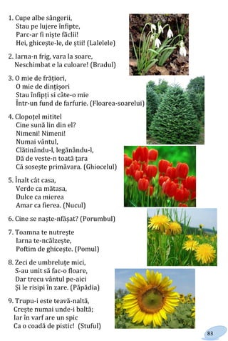 83
1. Cupe albe sângerii,
Stau pe lujere înfipte,
Parc-ar fi niște făclii!
Hei, ghicește-le, de știi! (Lalelele)
2. Iarna-n frig, vara la soare,
Neschimbat e la culoare! (Bradul)
3. O mie de frățiori,
O mie de dințișori
Stau înfipți si câte-o mie
Într-un fund de farfurie. (Floarea-soarelui)
4. Clopoțel mititel
Cine sună lin din el?
Nimeni! Nimeni!
Numai vântul,
Clătinându-l, legănându-l,
Dă de veste-n toată țara
Că sosește primăvara. (Ghiocelul)
5. Înalt cât casa,
Verde ca mătasa,
Dulce ca mierea
Amar ca fierea. (Nucul)
6. Cine se naște-nfășat? (Porumbul)
7. Toamna te nutrește
Iarna te-ncălzește,
Poftim de ghicește. (Pomul)
8. Zeci de umbreluțe mici,
S-au unit să fac-o floare,
Dar trecu vântul pe-aici
Și le risipi în zare. (Păpădia)
9. Trupu-i este teavă-naltă,
Crește numai unde-i baltă;
Iar în varf are un spic
Ca o coadă de pistic! (Stuful)
Право для безоплатного розміщення підручника в мережі Інтернет має
Міністерство освіти і науки України http://mon.gov.ua/ та Інститут модернізації змісту освіти https://imzo.gov.ua
 
