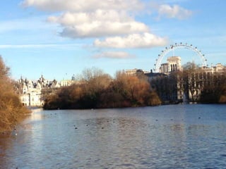 5 lieux incontournables